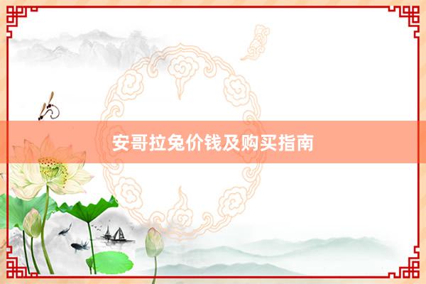 安哥拉兔价钱及购买指南